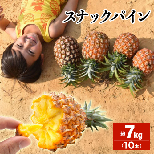 2026年 先行予約 スナックパイン 約7kg 10玉 西表島ひらい農園 パイナップル 果物 フルーツ パイン 027-a011_2026