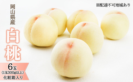 桃 2027年 先行予約 白桃 6玉（1玉300g以上）化粧箱