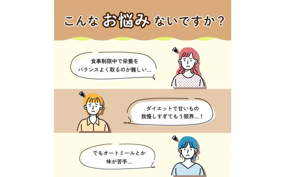 オートミールクッキー チョコチップ 1kg(100g×10袋)