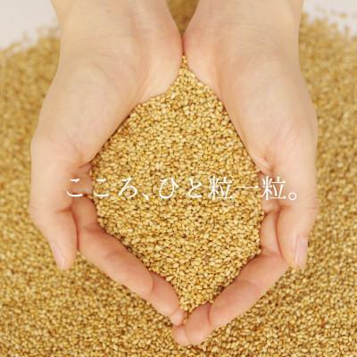ふるさと納税 四日市市 九鬼ごま油三本セット |  | 03
