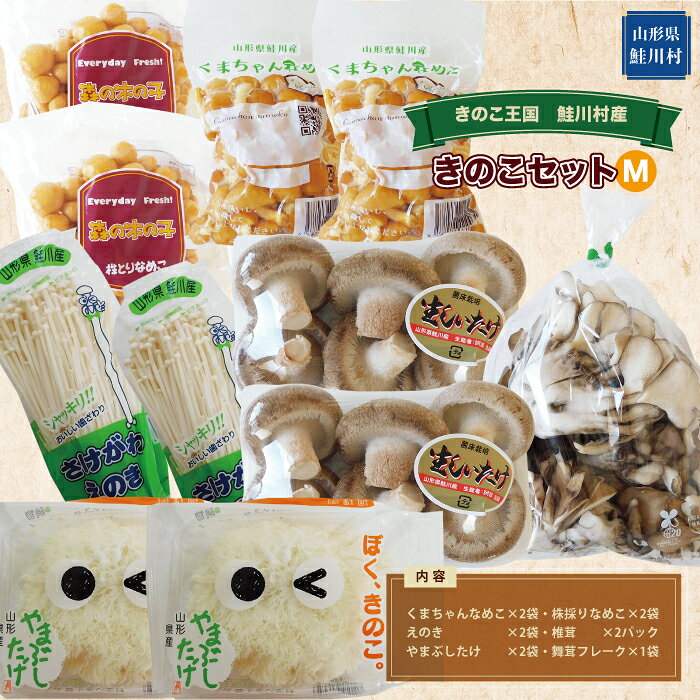 【ふるさと納税】きのこ王国　鮭川村産　きのこセット（M）