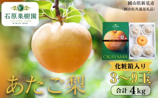 あたご梨 4kg 贈答 化粧箱 赤秀 3～9玉 【先行予約 2026年11月中旬から順次発送】