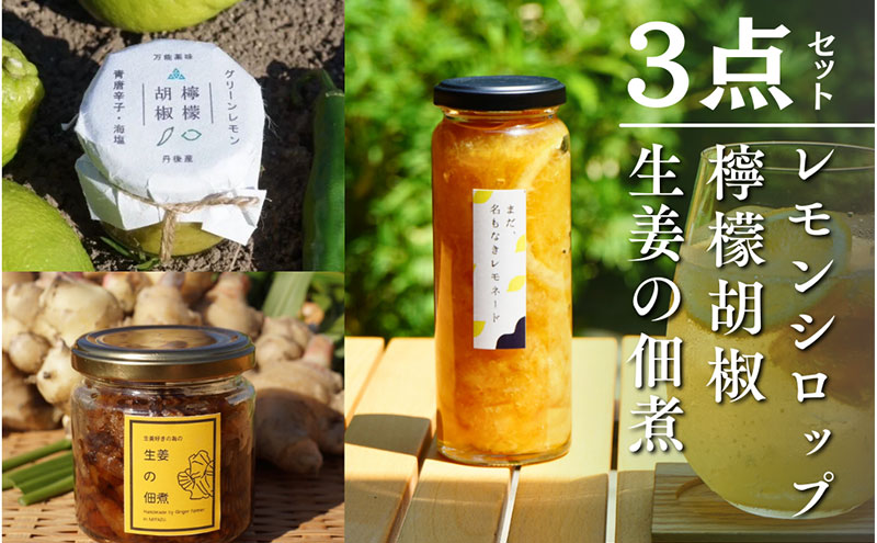 百章3点セット（檸檬胡椒・レモンシロップ・生姜の佃煮）　レモン れもん 調味料 スパイス 薬味 レモネード 佃煮 詰め合わせ 京都府 宮津市 myz11 myz20 myz22