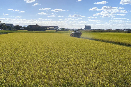 令和7年産 つがる市産 はれわたり 白米 10kg｜2025年産 はれわたり 白米 お米 米 コメ 精米 農協 特A 青森 新米 [0933]