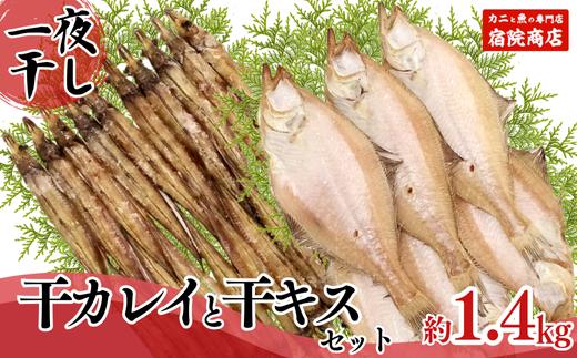 【一夜干し 干カレイと干キスセット】山陰沖で水揚げ 干物 ひもの 海産物 海鮮 魚介 焼いたり 空揚げ お酒のお供 ご飯のお供 送料無料 日本海 香住海岸 香住港 柴山港 兵庫県 香美町 香住 ふるさと納税 宿院商店 12000円 33-12