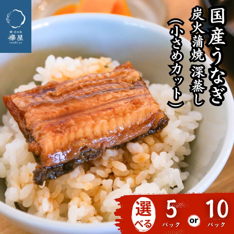 【ふるさと納税】贈り物に　襷屋 国産うなぎ 炭火蒲焼 深蒸し 小さめカット(20g) 選べる 5パック 10パックA-AA-J30A