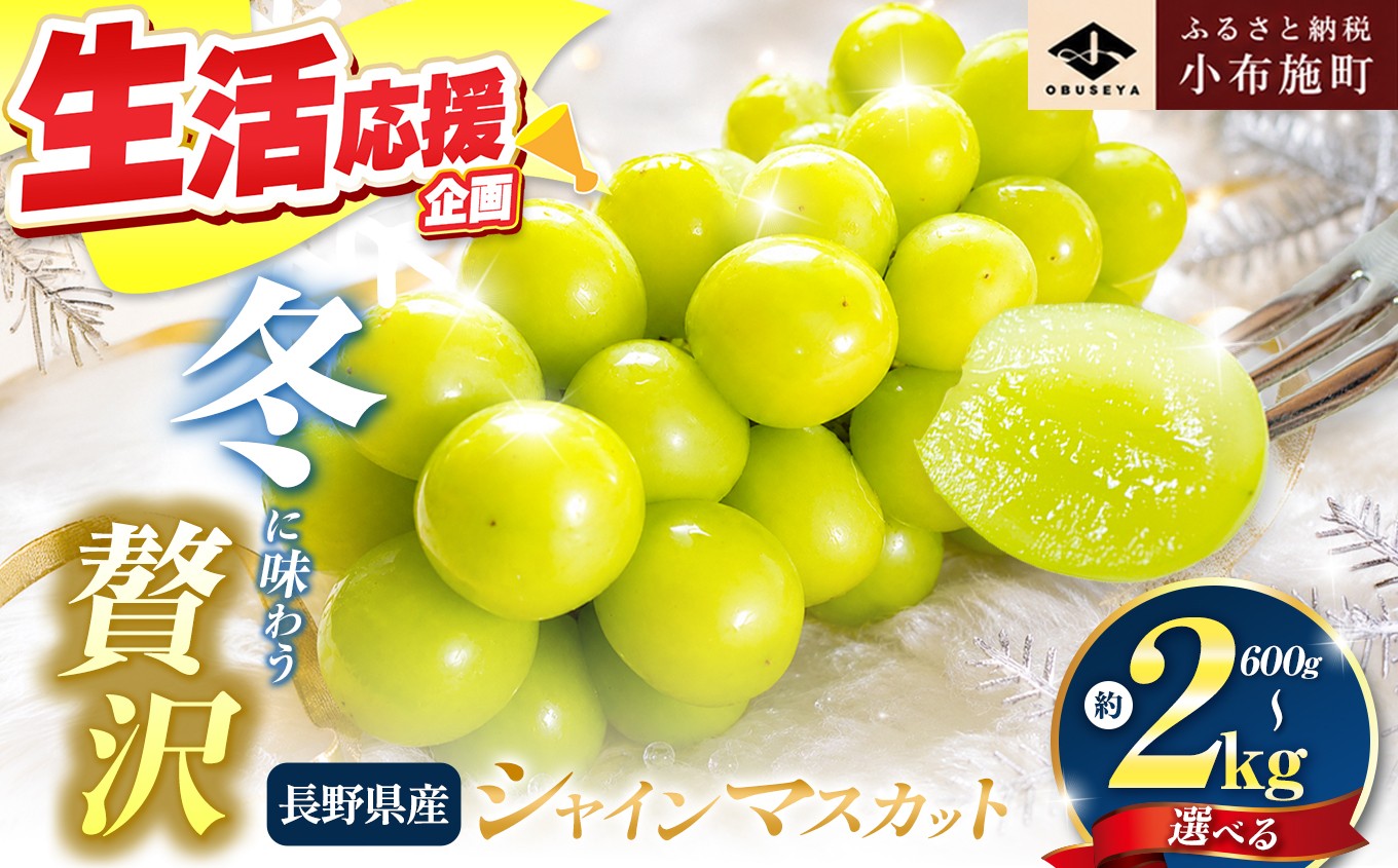 
                  蔵出し冬のシャインマスカット 約600g 約760g 約1kg 約1.3kg 約2kg 選べる内容量 ［小布施屋 ］ 年内配送 長野県 ぶどう フルーツ 果物 冷蔵便 クール便 令和8年産【2026年11月中旬～2027年2月発送】［A-502］
                