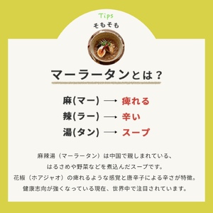 中辛マーラータン | 麻辣湯（12食セット） 0121-012-S06