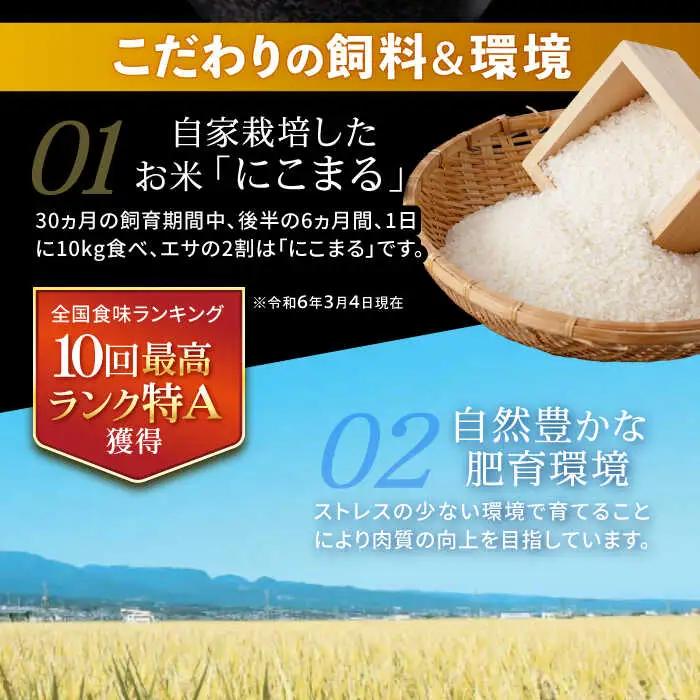 【特Aのブランド米で育てた】諫美牛 しゃぶしゃぶ・すき焼き用 500g(250g×2) / 牛肉 ぎゅうにく 和牛 牛 肉 国産 しゃぶしゃぶ すき焼き / 諫早市 / 株式会社土井農場 [AHAD0