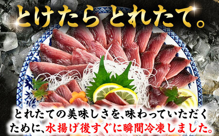 【とけたらとれたて】 スマ（ヤイトガツオ）（下処理・瞬間冷凍）計400g以上（約200g×2パック） 長崎県 小値賀町[DBY015]