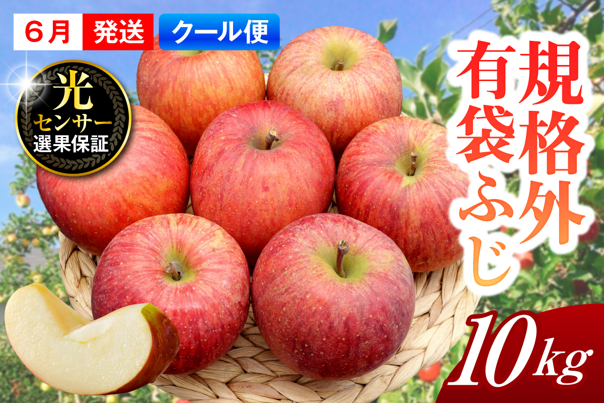 【2026年6月上旬発送】【規格外】 りんご 有袋ふじ 約10kg スマートフレッシュ?貯蔵 または CA貯蔵 【クール便】
