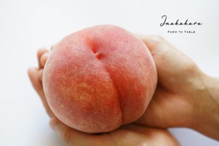 【2026年発送★先行予約】【笛吹市産】】Inakakara 一宮町の桃 ファーストクラス 6玉(約2.4kg) 192-010
