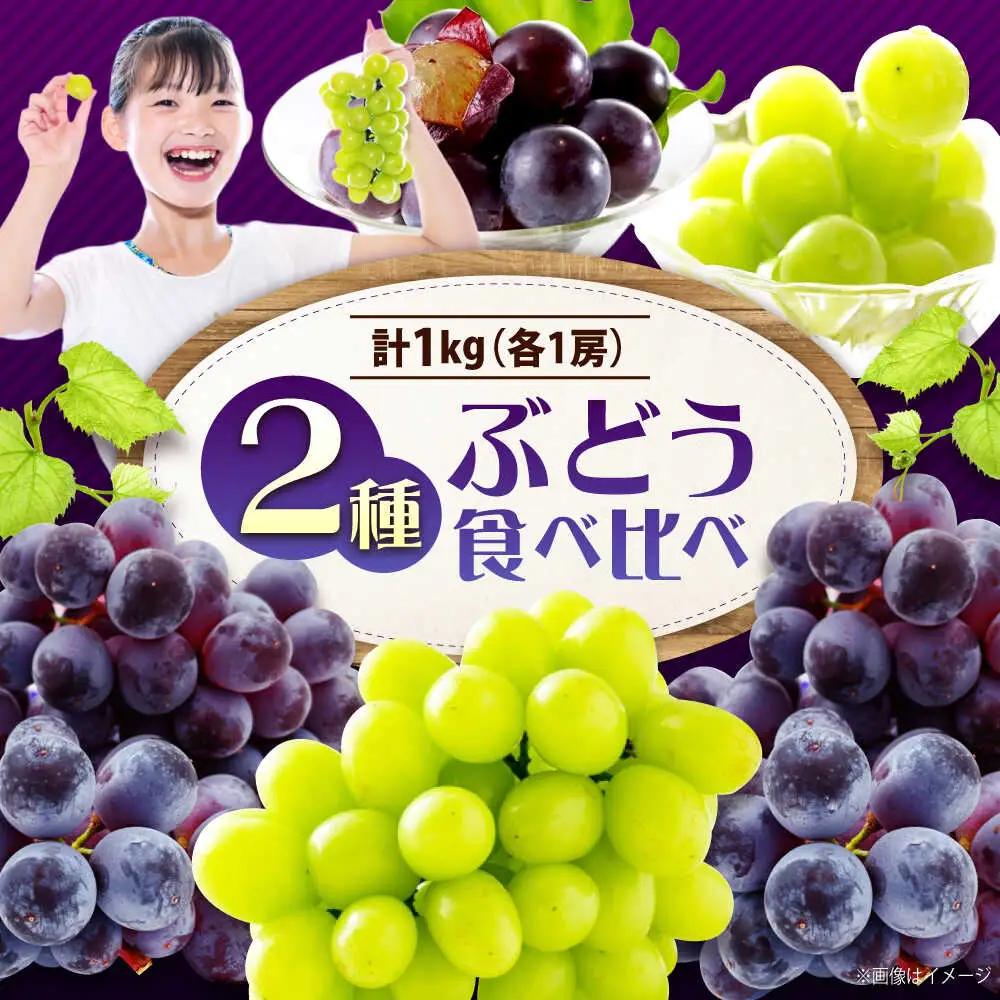 先行予約 【2026年9月中旬9月下旬発送】 ぶどう食べ比べセット（ニューベリーA・シャインマスカット） 計1kg [BAGF002]ぶどう