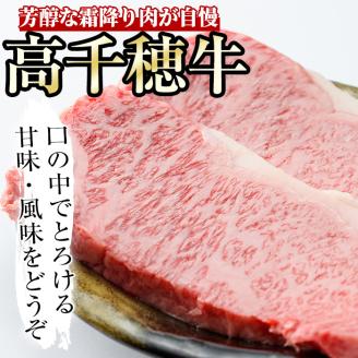 高千穂牛 サーロインステーキ(250g×2枚)国産 宮崎県産 宮崎牛 牛肉 ステーキ サーロイン 霜降り A4 和牛 ブランド牛【MT013】【JAみやざき 高千穂牛ミートセンター】