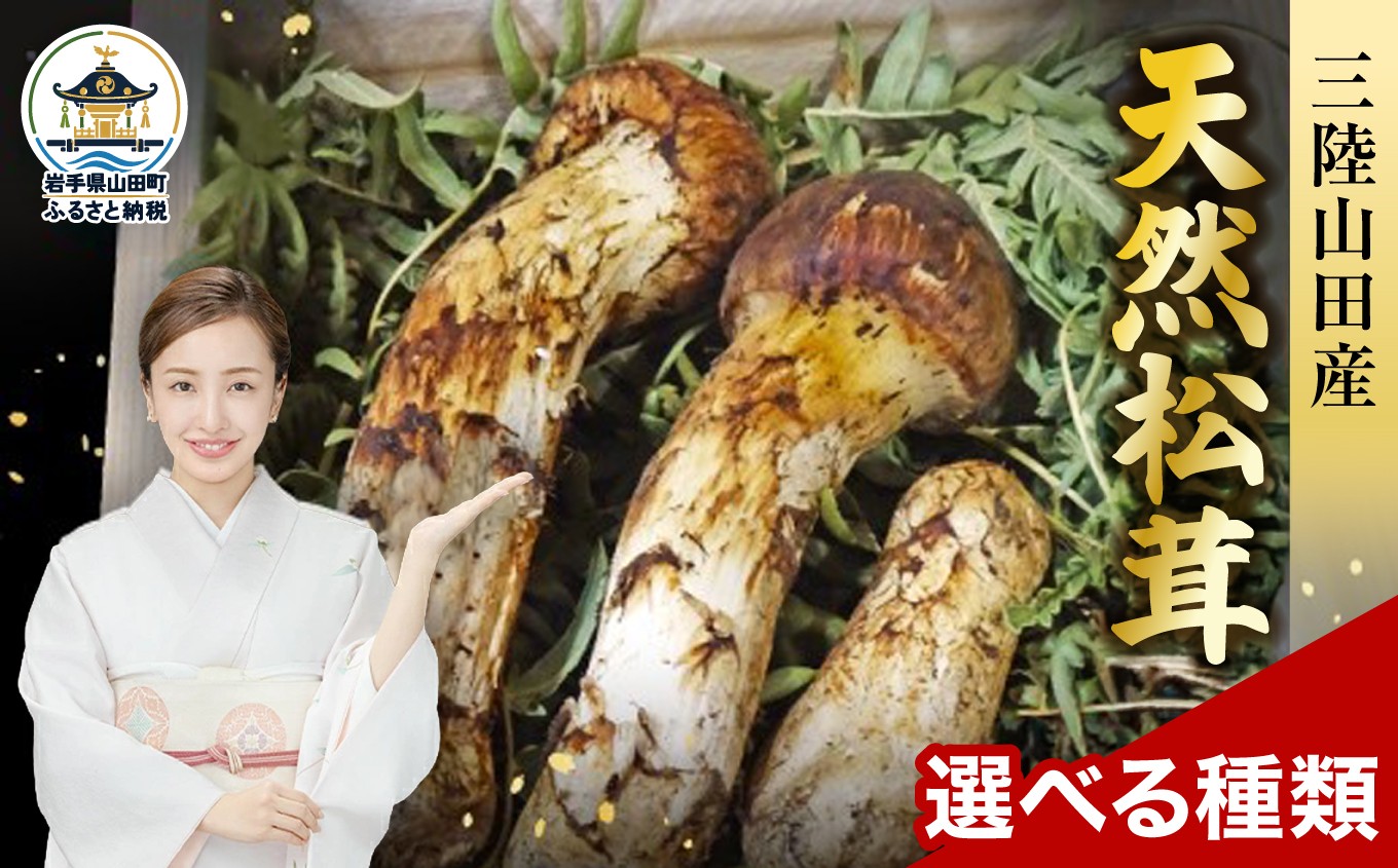 
                  松茸 国産 ≪2026年先行予約 9月中旬～11月下旬発送予定！≫【選べる容量】 天然  秋の味覚 三陸山田産松茸 三陸山田 山田町 まつたけ マツタケ 野菜 山田産野菜
                