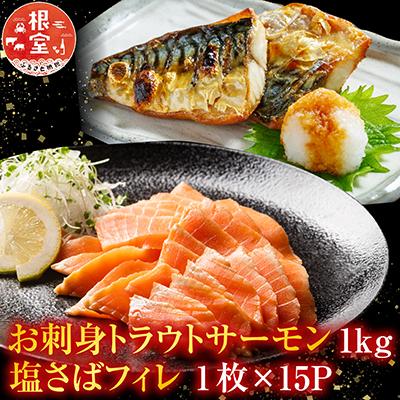ふるさと納税 根室市 お刺身トラウトサーモン1kg、塩さばフィレ15P B-09054