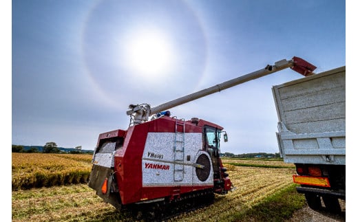 【先行予約】令和7年産 特Aランク米 ななつぼし 玄米 20kg（1