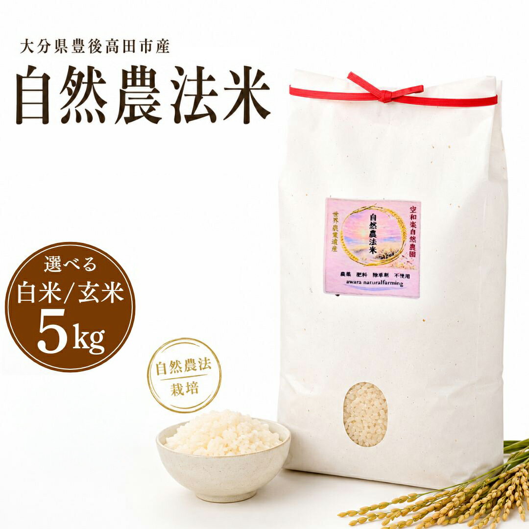 【ふるさと納税】 大分県産 自然農法 選べる 玄米/白米 5kg | お米 うるち米 国産 九州 大分県 豊後高田市 人気 おすすめ 産地直送 送料無料