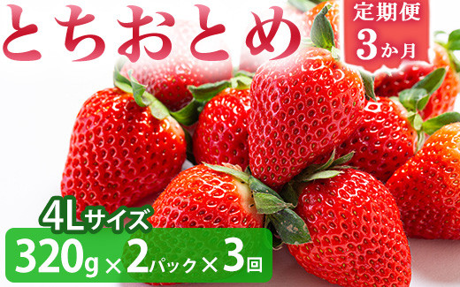 
            ＜いちご3か月定期便＞栃木県産とちおとめ 320g×2パック 4Lサイズ 3回 | 栃木県 壬生町 いちご 苺 イチゴ とちおとめ フルーツ 果物 新鮮 平積み 産地直送 2026年1月 2月 3月 ※2026年1月中旬頃より順次発送予定 ※離島への配送不可
          
