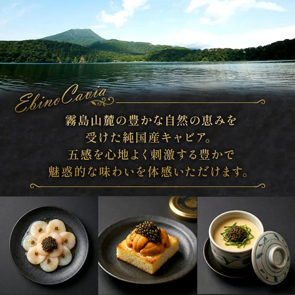 【ふるさと納税】キャビア 国産 20g 冷蔵 宮崎県 えびの市産