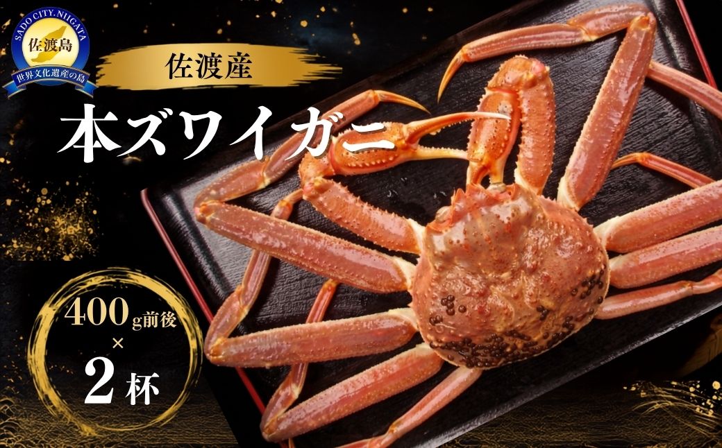 【令和8年10月中旬以降発送】佐渡産 本ずわいがに 800g前後（400g前後×2杯）