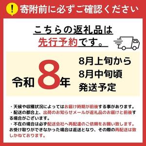 【先行受付】【8月上旬～発送】桃 約3kg （ 9 ～ 10 玉 ）