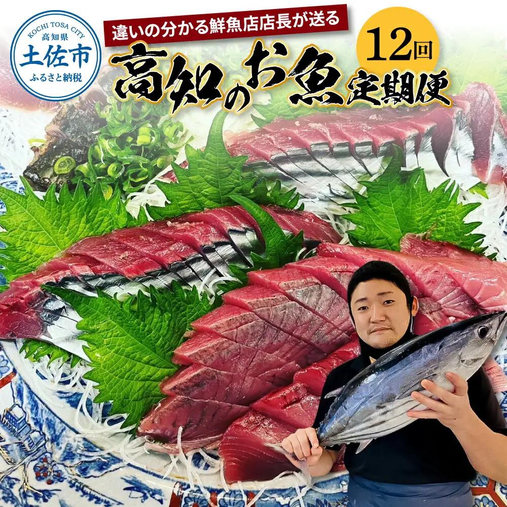 【全12回定期便】違いの分かる鮮魚店店長が送る 高知のお魚定期便！ 高知県土佐市 【さかなの森澤　マル祐】 [BQAM007]