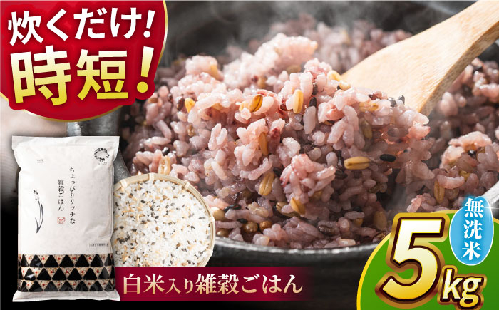 
                  〈令和7年度産米〉雑穀ごはん 無洗米 5kg [沖縄/離島配送不可]【株式会社 農産ベストパートナー】雑穀米 ざっこく 米 コメ こめ ヒノヒカリ ひのひかり 熊本県 山鹿市 洗わない 水研ぎ不要 令和7年産 [ZBP145]
                