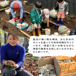 【令和7年産】 増富天空の舞茸　原木まいたけ　約450g 舞茸 原木舞茸 まいたけ きのこ 肉厚 約450g 期間限定 ナラの木 北杜市 須玉町産 増富天空の舞茸 北杜市