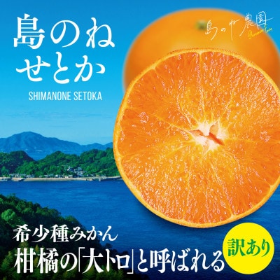 【島のね農園ブランド】島のね せとか(4kg)【KB01610】