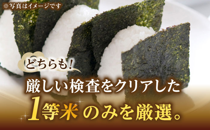 【先行予約】【令和7年産】福岡県産米食べ比べ「夢つくし」と「元気つくし」セット  無洗米  計10kg【2025年11月以降順次発送】《築上町》【株式会社ゼロプラス】 [ABDD014] お米 白ご飯