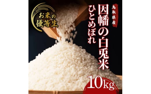 因幡の白兎米 ひとめぼれ 令和7年度産 精米済 10kg（5kg×2袋）