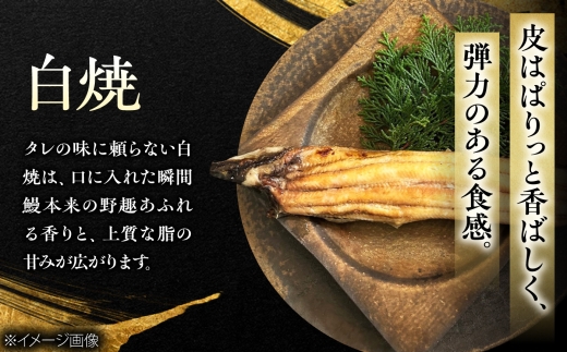 鰻 美陵鰻の蒲焼3尾×白焼3尾 紅白セット / 美陵鰻 鰻 うなぎ ウナギ 蒲焼 蒲焼き かば焼き かばやき 白焼き 白焼 肉厚 うな重 うな丼 惣菜 おかず 山椒 国産 土用 丑の日 土用の丑の日 