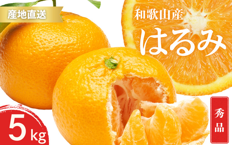 
            【先行予約】秀品 はるみ 和歌山 有田 S～2Lサイズ 大きさお任せ 5kg【1月下旬～3月下旬までに順次発送予定】/ みかん フルーツ 果物 くだもの 蜜柑 柑橘【ktn045A】
          