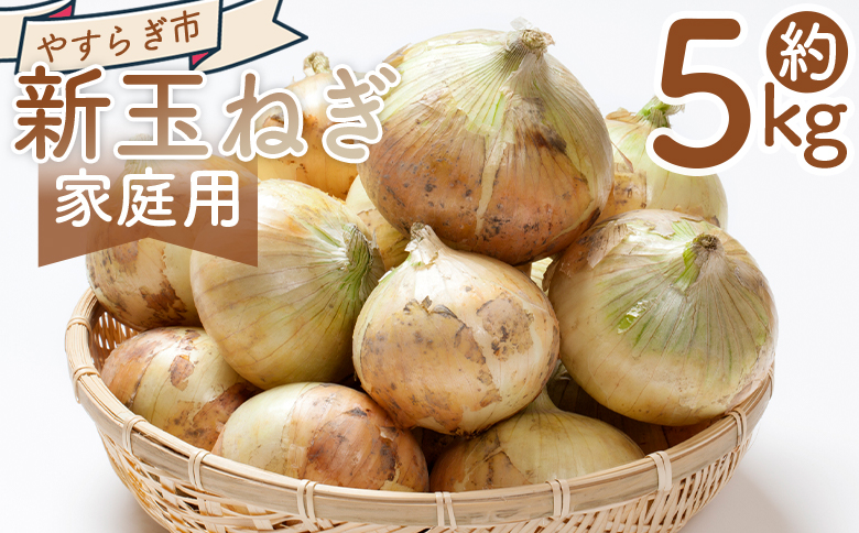 【2026年３月以降順次発送】新玉ねぎ ５ｋｇ 家庭用 yr-0079