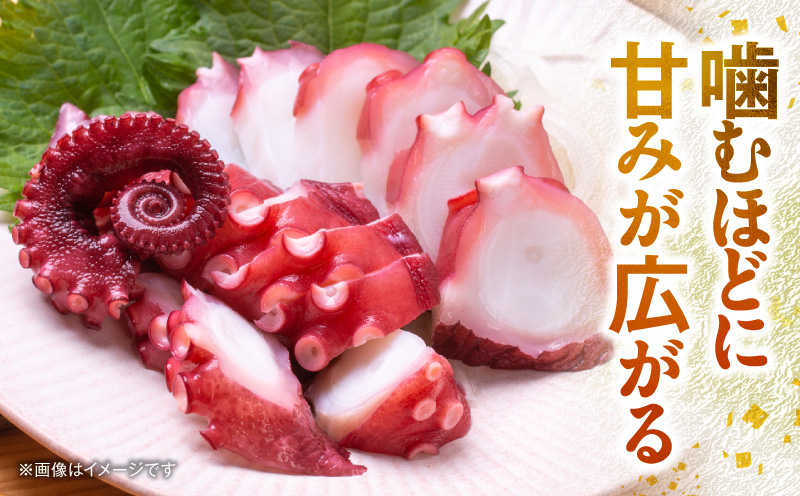 洗い泉州タコ1kg G4157