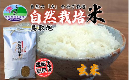 【2025年産 先行予約】自然栽培米 鳥取旭（玄米）3kg×3袋｜鳥取 岩美 岩美町産 お米 こめ 玄米 無農薬 無肥料【31023】