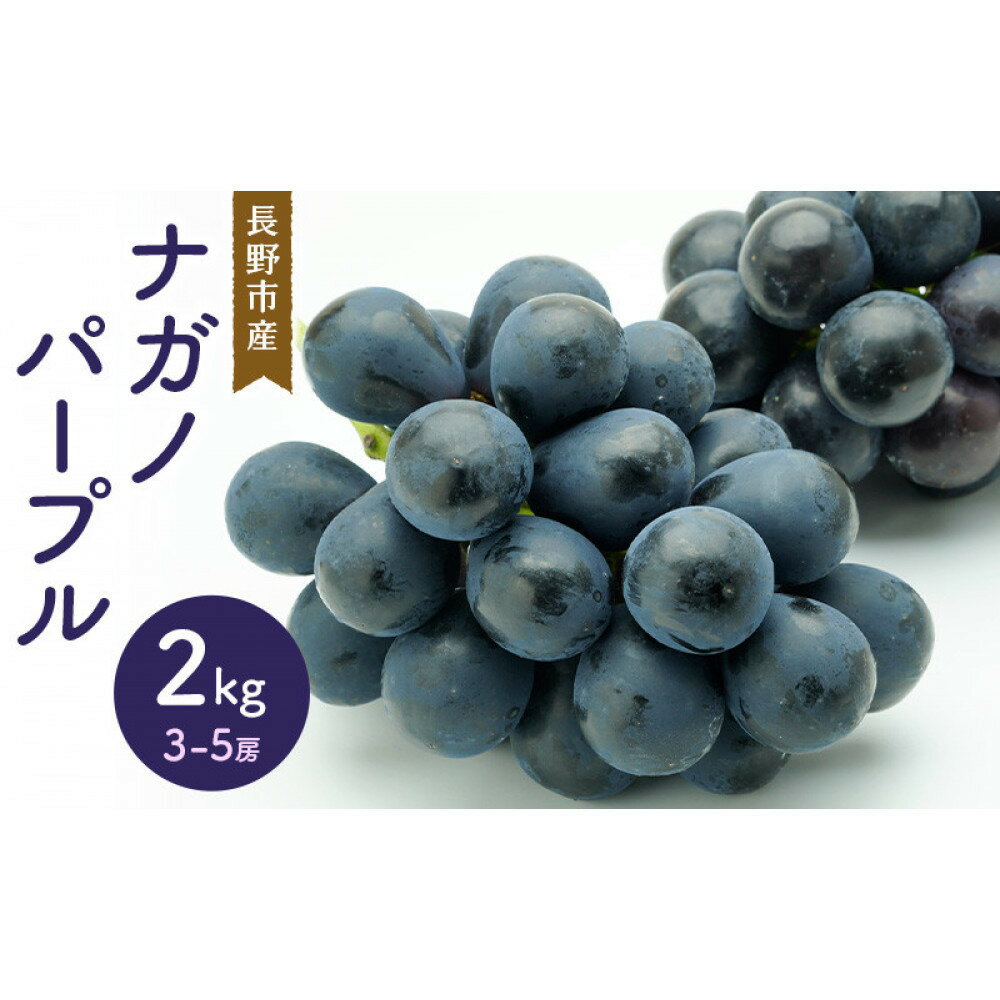 【ふるさと納税】ナガノパープル2kg　3-5房 | ぶどう フルーツ 果物 国産 人気 おすすめ ギフト プレゼント 送料無料 長野県 長野市 信州 信濃 ふるさと納税