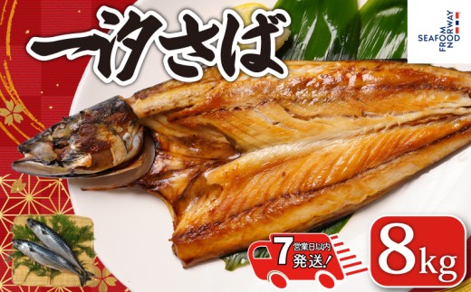 【 スピード配送 】 一汐さば 8kg さば 鯖 さぬき塩 塩 塩さば 塩鯖 鯖の開き 無添加 添加物不使用 ノルウェー 厳選 海の幸 大容量 おつまみ お弁当 惣菜 塩焼き おかず 調理用 料理 素材 冷凍 冷凍品 長期保存 保存食 鮮度 旨味 お取り寄せ グルメ 食品 魚 魚貝 魚介 ギフト 贈物 贈り物 ふるさと納税鯖 ふるさと納税さば ふるさと納税 千葉県 銚子市 送料無料 エドノフーズ