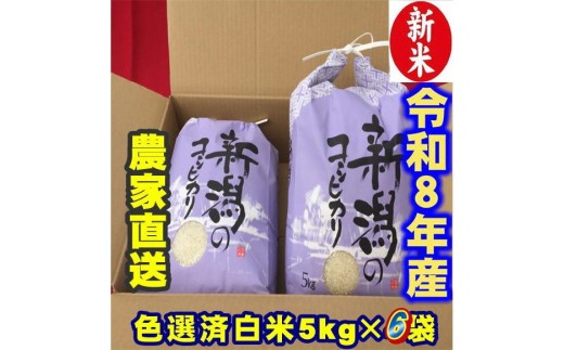 【令和8年産新米】 新潟県産 「従来こしひかり」 白米 30kg（5kg×6袋） 阿賀野市産 中島農場 精米 新潟県 米 こめ コメ お米 ごはん ご飯 農家直送 色彩選別済 新米 令和8年産  3R19088