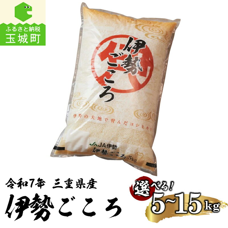 【ふるさと納税】令和7年産 コシヒカリ 伊勢ごころ 5kg 10kg 15kg 米 白米 精米 2025年産 ご飯 お弁当 おにぎり ギフト 贈答 備蓄米 玉城町観光協会 三重県