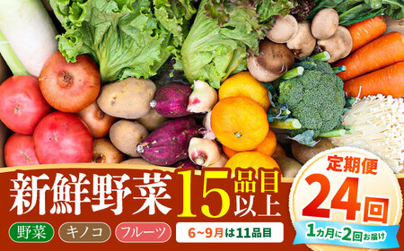 【全24回 月2回お届け】野菜定期便15品目以上 [SCZ003]