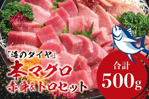 本マグロ（養殖）トロ＆赤身セット 500g 【通常発送】 高級 クロマグロ  中トロ 中とろ まぐろ マグロ 鮪 赤身 柵 じゃばらまぐろ 本マグロ 本鮪【nks110B】