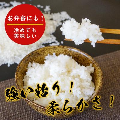 ふるさと納税 八頭町 【令和7年度産米】きぬむすめ5kg |  | 02