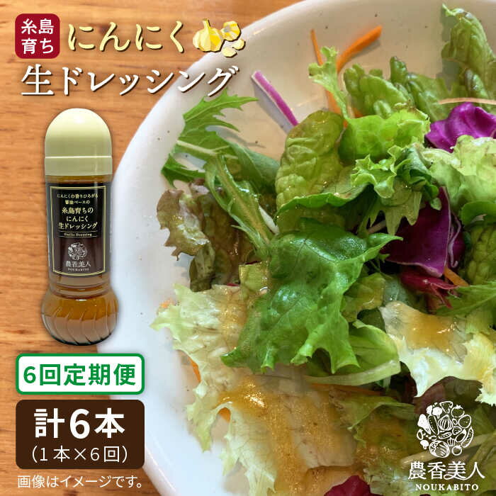 【ふるさと納税】【全6回定期便】糸島そだちのにんにく 生ドレッシング（285ml×1本×6回）《糸島》糸島市 / 農香美人 [AAG037] 37000円