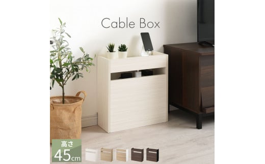 
            【完成品でお届け】ルーター収納ボックス〔小〕（選べる5色）ケーブルボックス スリム 小サイズ/大サイズ ケーブル収納 ボックス コードケース タップボックス タップ収納 ルーター隠し 大型 ルーター収納 ルーターボックス コードボックス コード収納 LKANET300255
          