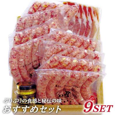 ふるさと納税 糸島市 生ウインナー 7種48本+生ハム 45g 詰め合わせセット /糸島手造りハム [AAC005]