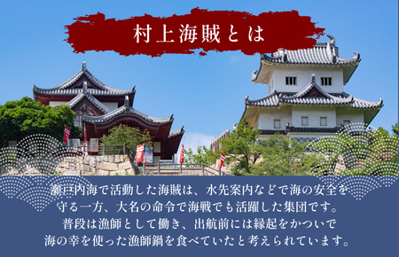 村上海賊 漁師鍋つゆ （3～4人前／袋）750g／袋×10パック（16食分）【V002910R10】