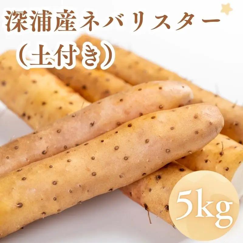 お届け：2026年12月中旬～2027年2月下旬　深浦町産 ネバリスター 約5kg 土つき 長芋[fu-0022-001]