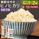 【ふるさと納税】【選べる定期便】熊本県菊池産 ヒノヒカリ 5分づき米5kg＋もち麦入り雑穀米200g 1袋セット/2袋セット 6ヶ月定期便/12ヶ月定期便 選べる内容量 お米 分づき米 九州産 熊本県産 送料無料